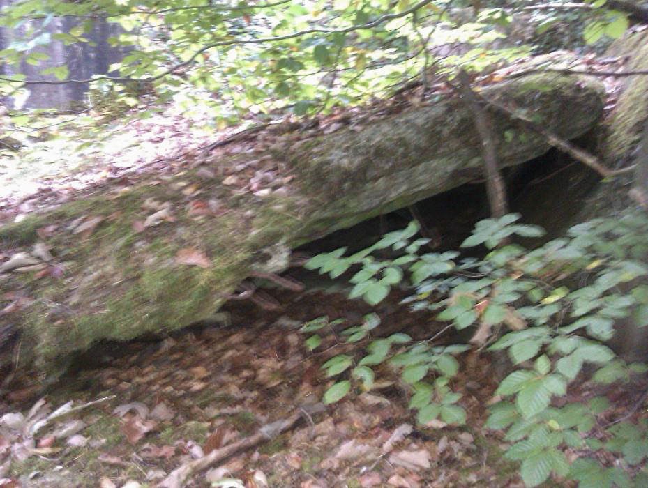Ligne Maginot - PFAFFENBRONN 4 - (Blockhaus pour arme infanterie) -  - donceuh