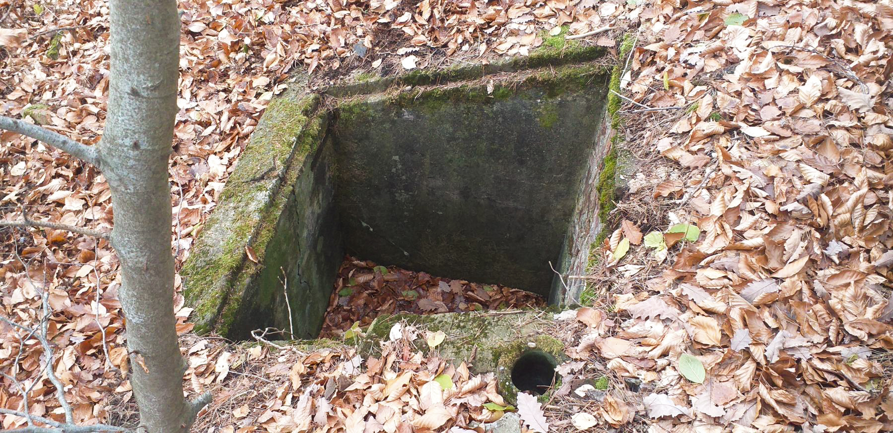 Ligne Maginot - REDUIT DU HOCHWALD - (Blockhaus pour arme infanterie) - La fosse à douilles - Gregory Fuchs