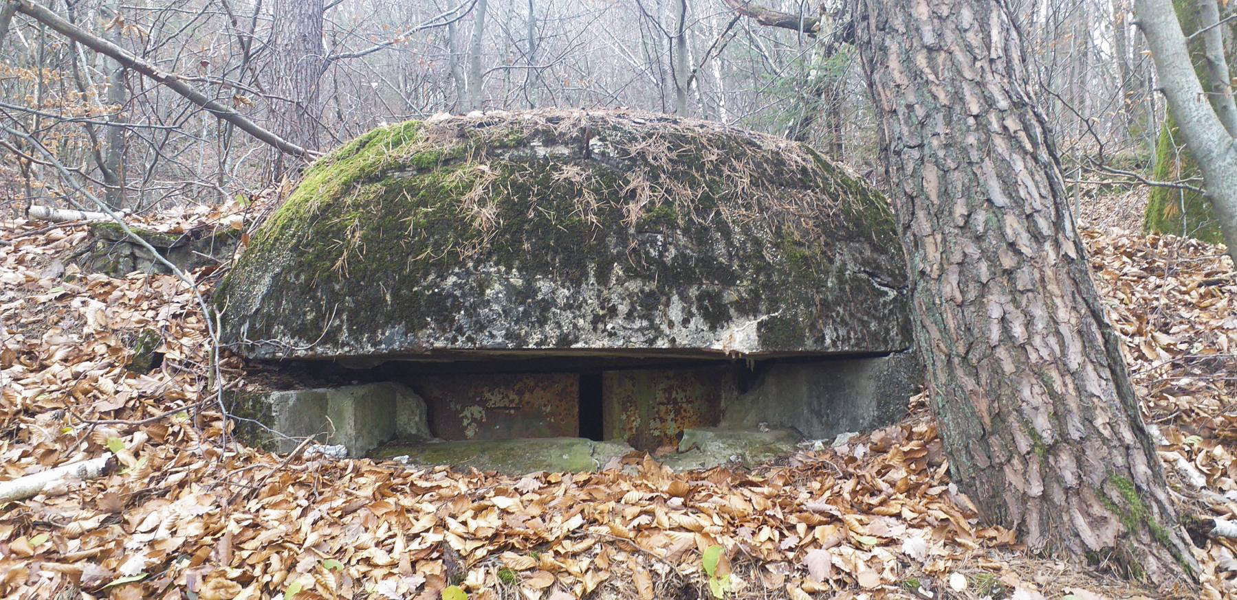 Ligne Maginot - REDUIT DU HOCHWALD - (Blockhaus pour arme infanterie) -  - Gregory Fuchs