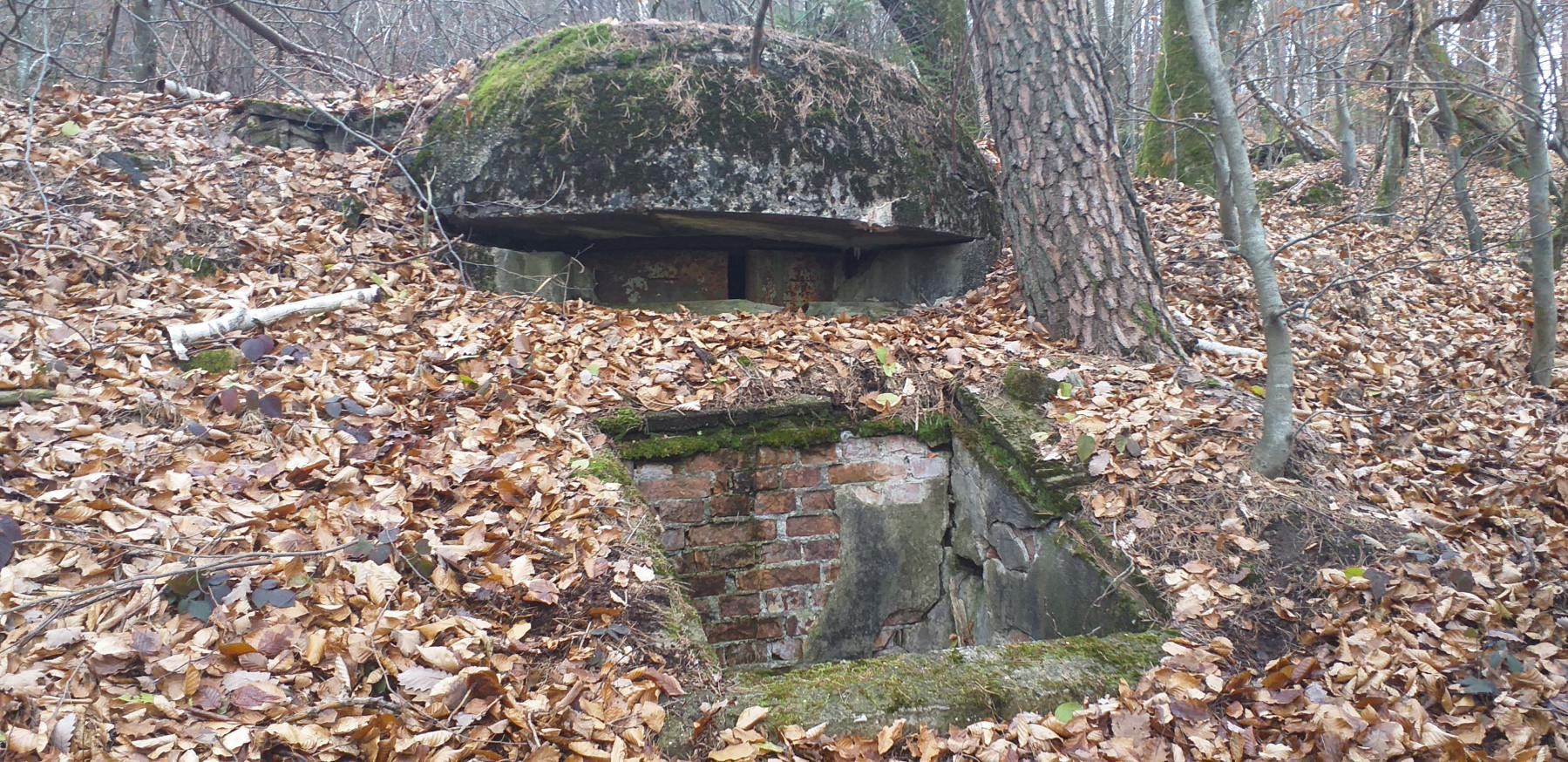 Ligne Maginot - REDUIT DU HOCHWALD - (Blockhaus pour arme infanterie) -  - Gregory Fuchs