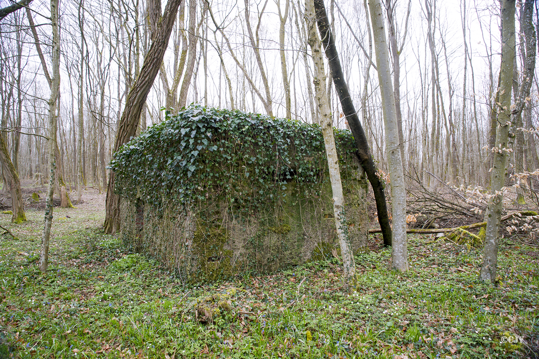 Ligne Maginot - ROUTE d'ESCHBACH ( Blockhaus pour arme infanterie ) -  - Lia VERMEULEN