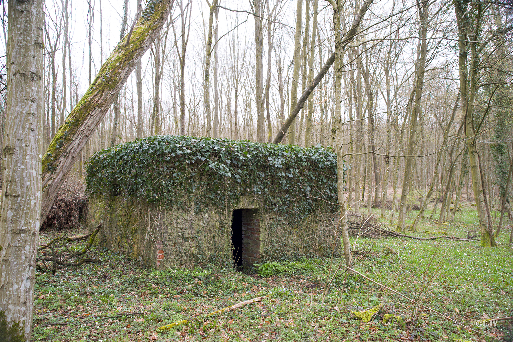 Ligne Maginot - ROUTE d'ESCHBACH ( Blockhaus pour arme infanterie ) -  - Lia VERMEULEN