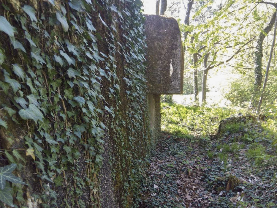 Ligne Maginot - SCHERHOL 2 - (Blockhaus pour arme infanterie) -  - donceuh