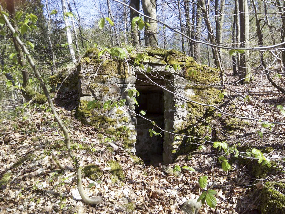 Ligne Maginot - SCHMELTZBACH 5 - (Blockhaus pour arme infanterie) -  - donceuh