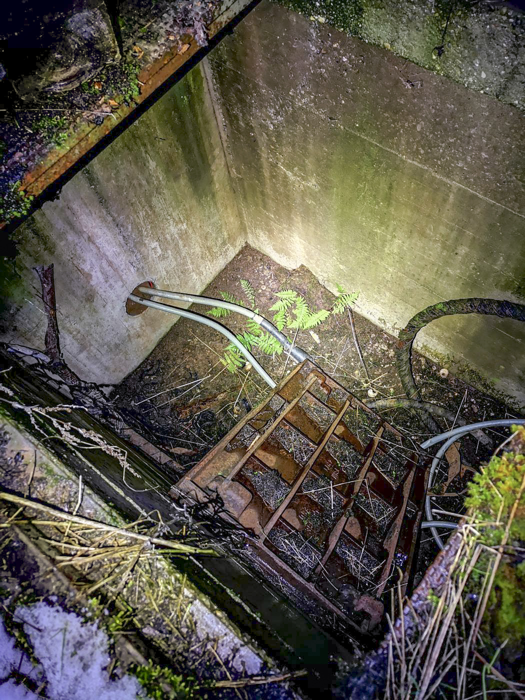 Ligne Maginot - B4 - (Chambre de coupure) - Cette chambre de tirage a été construite (possiblement) en remplacement de B4, qui a disparu après la construction de l'axe routier D620.
Des câbles modernes prolongent les anciens. - DK_Antoine4