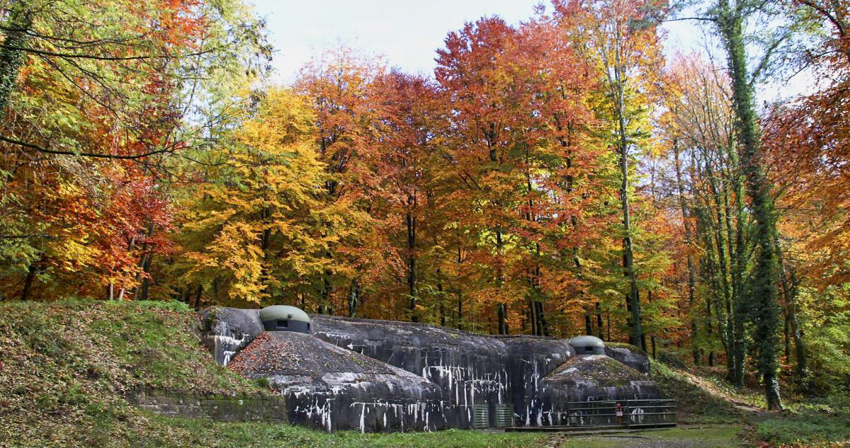 Ligne Maginot - SCHOENENBOURG - (Ouvrage d'artillerie) - Entrée des hommes - GRAMI