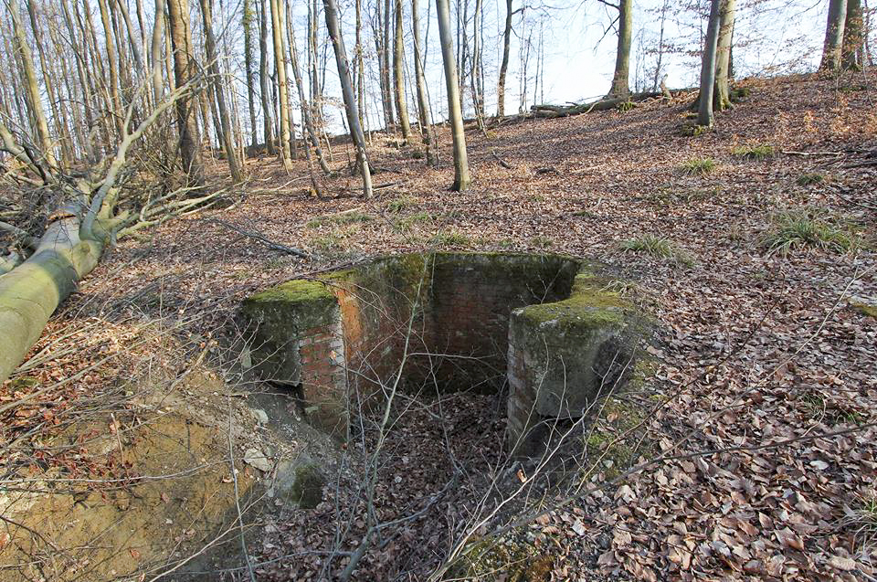 Ligne Maginot - SCHOENENBOURG - (Ouvrage d'artillerie) - Débouché d'un puit de service ayant servi pour la construction de l'ouvrage et remblayé après.
Au dessus du puits se dressait un chevalement permettant la montée et la descente des berlines de déblais. A côté se trouve un support bétonné servant d'assise au moteur du treuil et en face du puits le terril formé par les déblais extraits - GRAMI