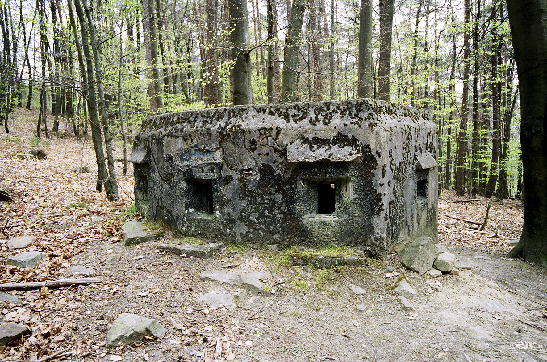 Ligne Maginot - Blockhaus du Soultzerkopf 1 -  - Lia VERMEULEN