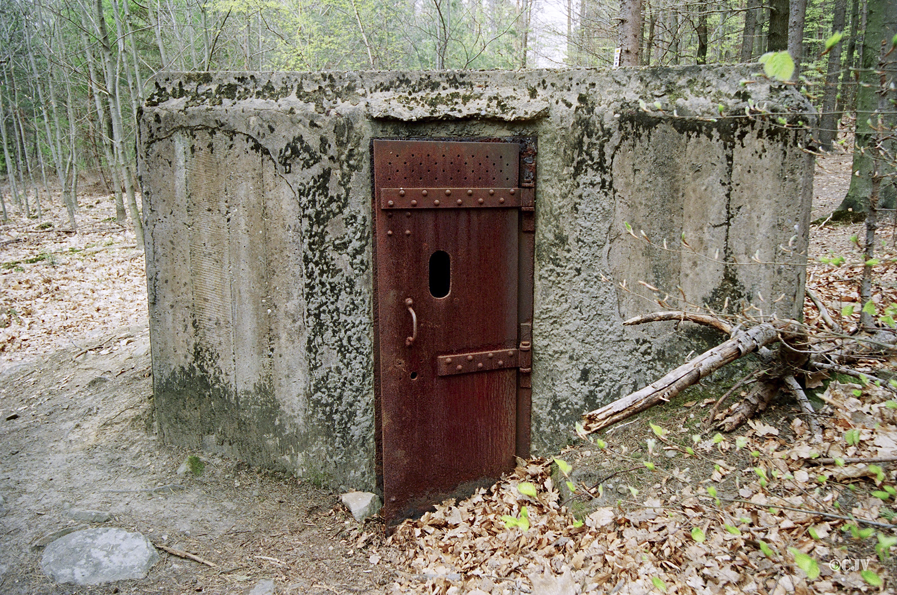 Ligne Maginot - Blockhaus du Soultzerkopf 1 -  - Lia VERMEULEN