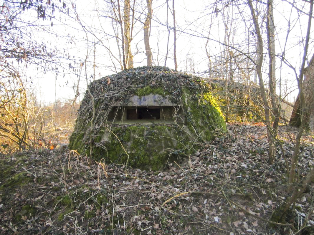 Ligne Maginot - STATION DE SURBOURG 1 - (Blockhaus de type indeterminé) -  - gregfuchs