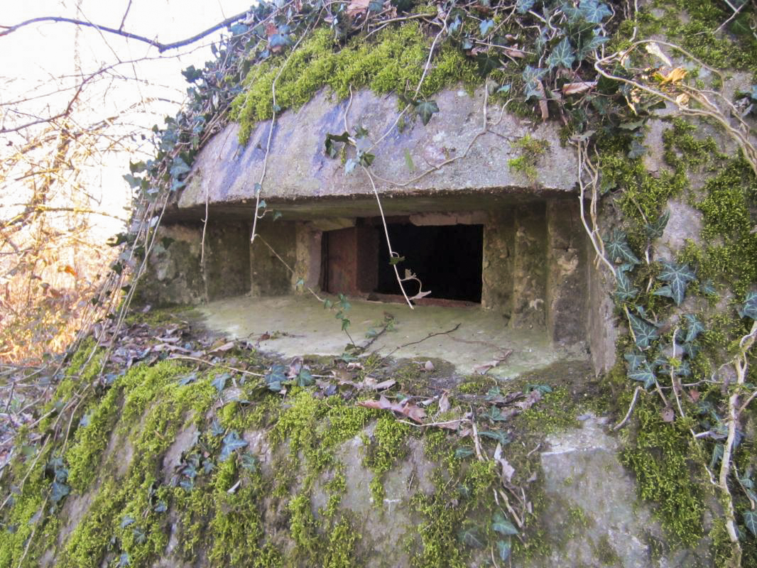 Ligne Maginot - STATION DE SURBOURG 1 - (Blockhaus de type indeterminé) -  - gregfuchs