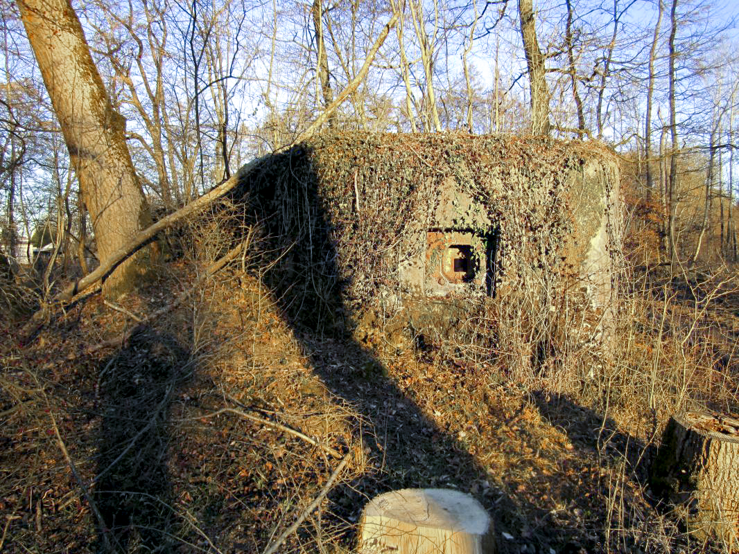 Ligne Maginot - STATION DE SURBOURG 1 - (Blockhaus de type indeterminé) -  - gregfuchs