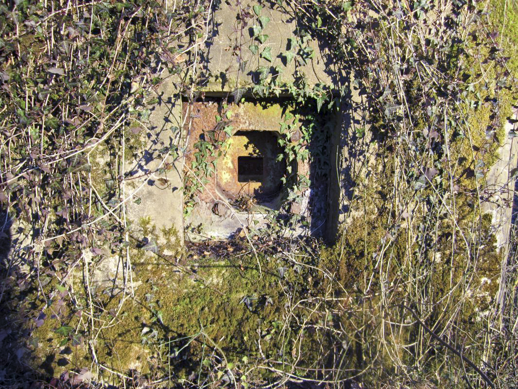Ligne Maginot - STATION DE SURBOURG 1 - (Blockhaus de type indeterminé) -  - gregfuchs