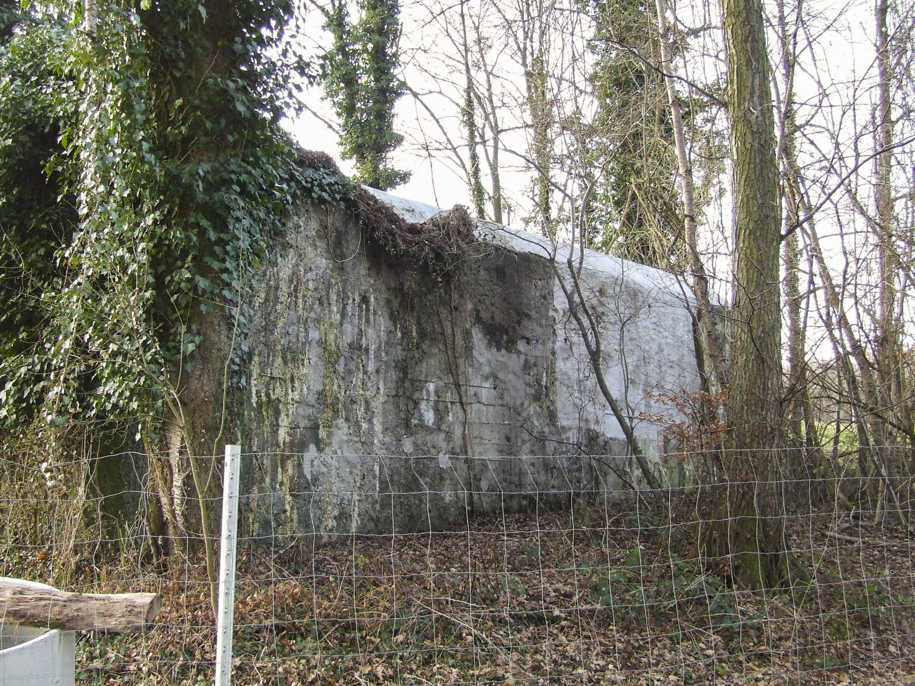 Ligne Maginot - ZIEGELPLAN - (Casemate d'infanterie) -  - STENGER Mathieu