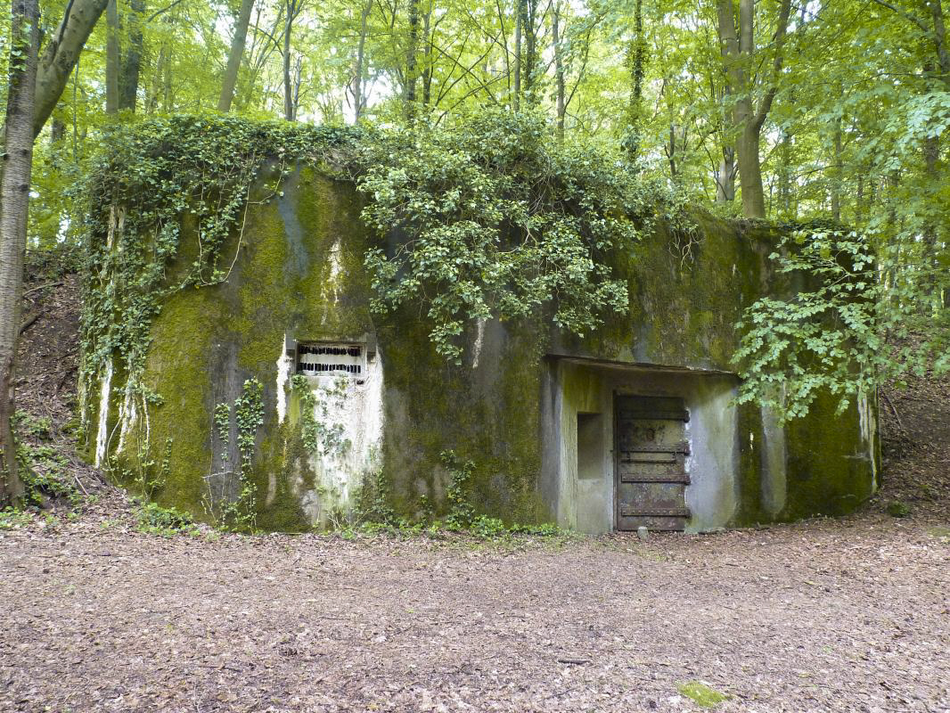 Ligne Maginot - WALKMUHL - (Abri) - Le coffre est - Aditus