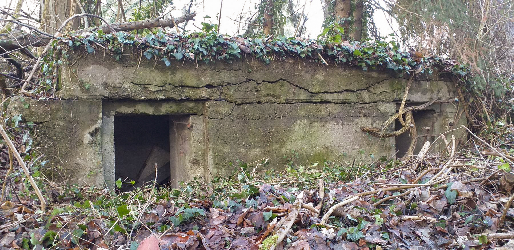 Ligne Maginot - WALDHOF CENTRE - (Blockhaus pour arme infanterie) - Les deux entrées - G.Fuchs