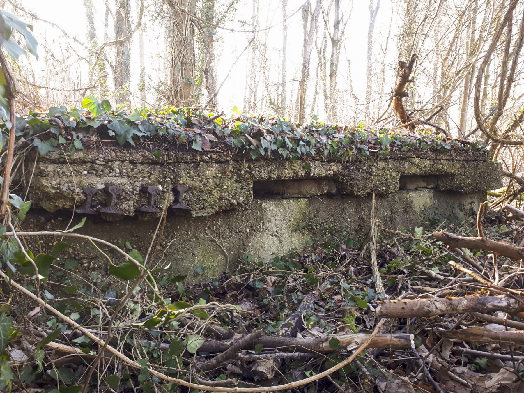 Ligne Maginot - WALDHOF CENTRE - (Blockhaus pour arme infanterie) - Vue de face, on distingue nettement les rails et la dalle de couverture posé par les français - G.Fuchs