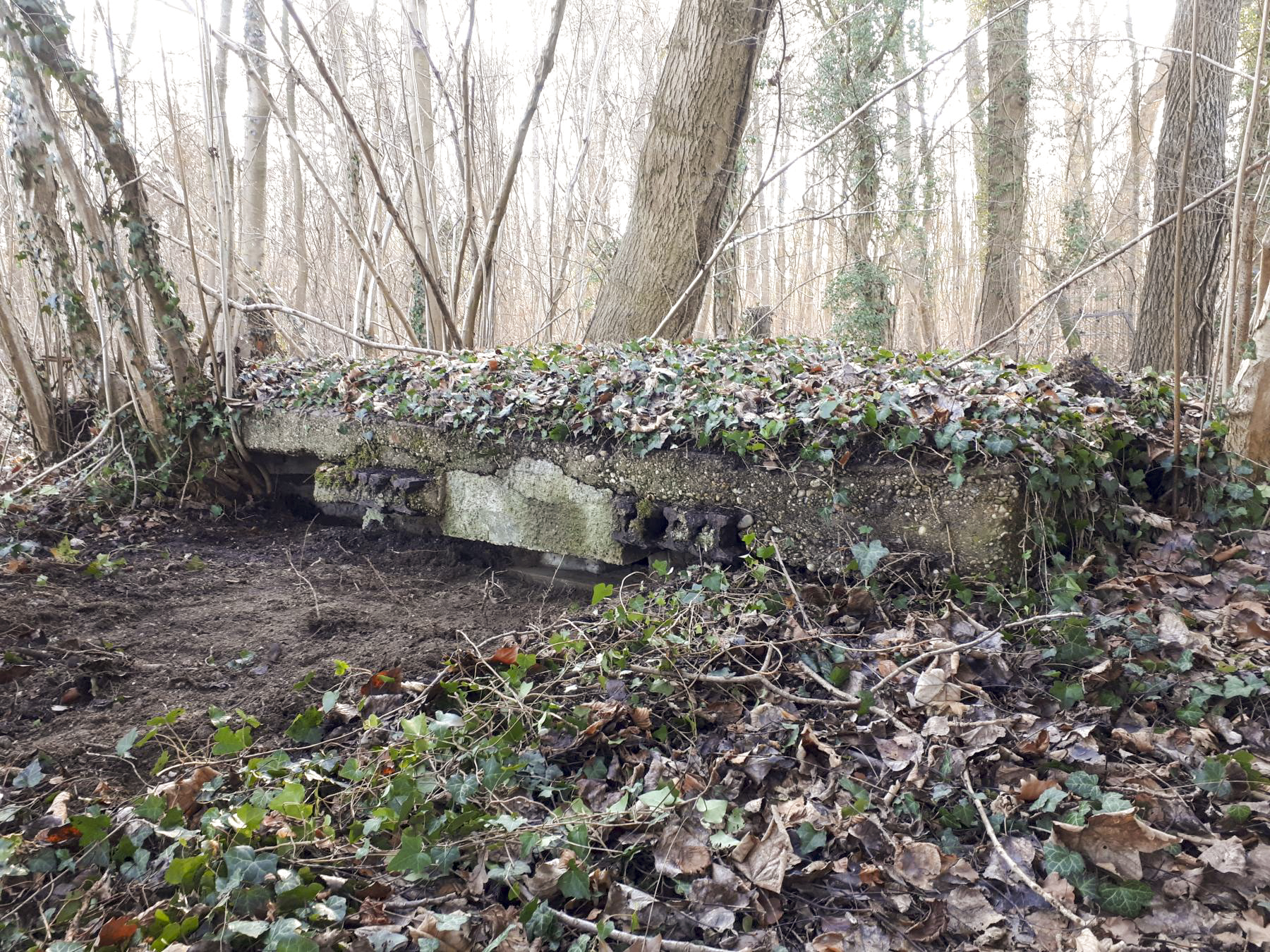 Ligne Maginot - WALDHOF EST - (Blockhaus pour arme infanterie) - Vue de face, on distingue nettement les rails et la dalle de couverture posé par les français - G.Fuchs