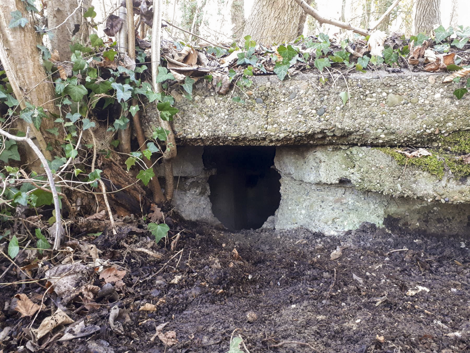 Ligne Maginot - WALDHOF EST - (Blockhaus pour arme infanterie) - Détail du créneau droit  - G.Fuchs