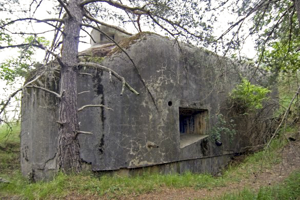 Ligne Maginot - MONTE GROSSO (MG) - E02 - (Ouvrage d'artillerie) - Bloc 8 - AALMA - www.lignemaginot.com