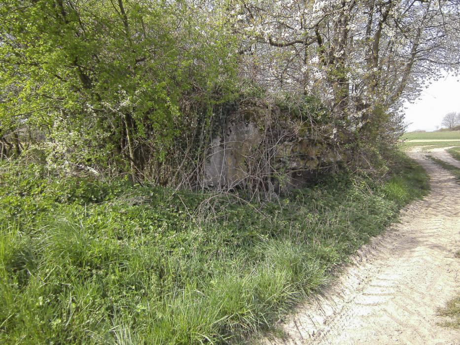 Ligne Maginot - BOIS DE HOFFEN 1 - (Blockhaus pour canon) - Le blockhaus toujours visible au bord du chemin agricole - GLÜCKSJÄGER GJ13