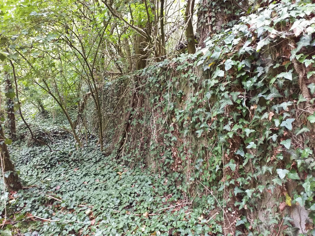 Ligne Maginot - BOIS DE HOFFEN - (Casernement) - Fondation - Gregory Fuchs
