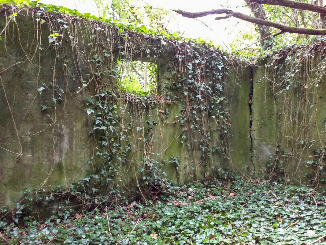 Ligne Maginot - BOIS DE HOFFEN - (Casernement) - Deuxième local - Gregory Fuchs