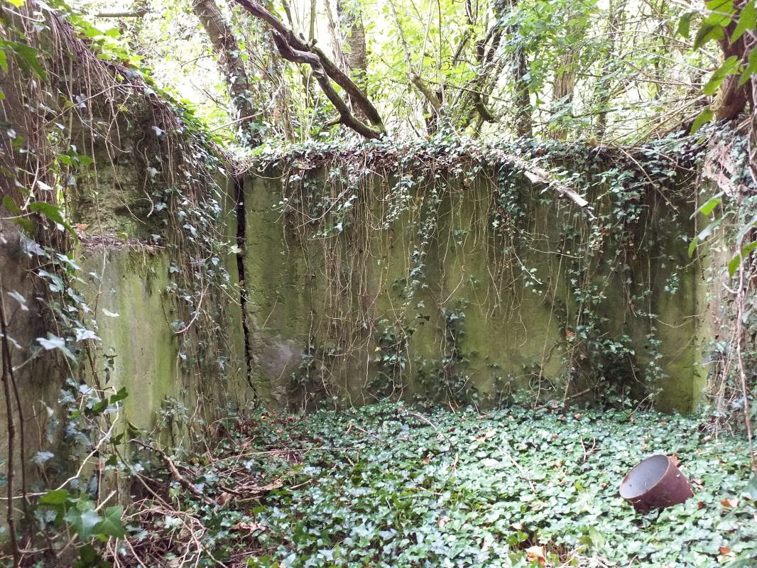 Ligne Maginot - BOIS DE HOFFEN - (Casernement) - Deuxième local - Gregory Fuchs