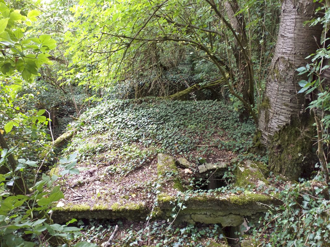 Ligne Maginot - BOIS DE HOFFEN - (Casernement) - Fondation vue du dessus - Gregory Fuchs