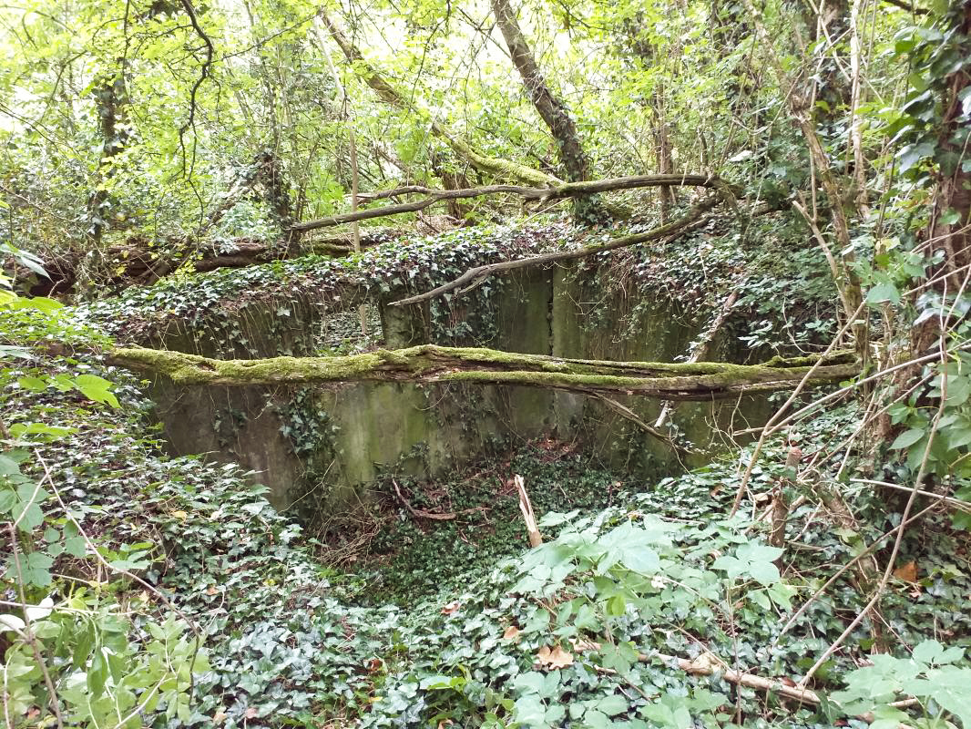 Ligne Maginot - BOIS DE HOFFEN - (Casernement) - Deuxième local vue du dessus - Gregory Fuchs