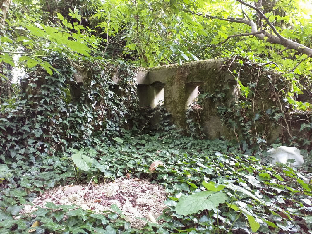 Ligne Maginot - BOIS DE HOFFEN - (Casernement) -  - Gregory Fuchs