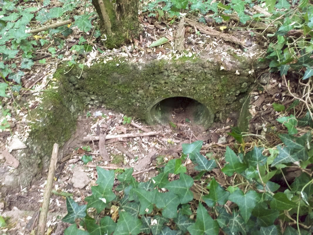 Ligne Maginot - BOIS DE HOFFEN - (Casernement) - Puisard - Gregory Fuchs