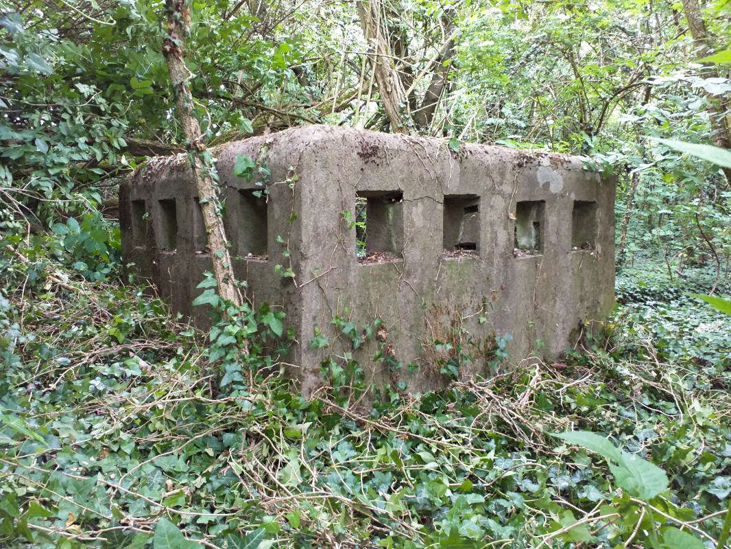 Ligne Maginot - BOIS DE HOFFEN - (Casernement) -  - Gregory Fuchs