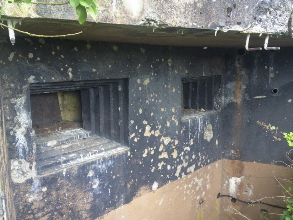 Ligne Maginot - BOIS DE HOFFEN EST - O3 - (Casemate d'infanterie - Simple) -  - EVA Philippe
