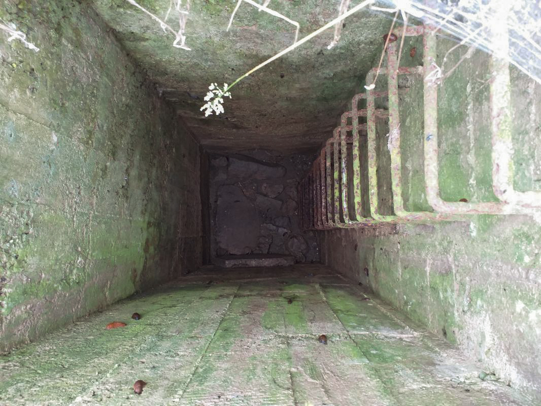 Ligne Maginot - BOIS DE HOFFEN EST - O3 - (Casemate d'infanterie - Simple) - Regard de visite de l'égout - Gregory Fuchs