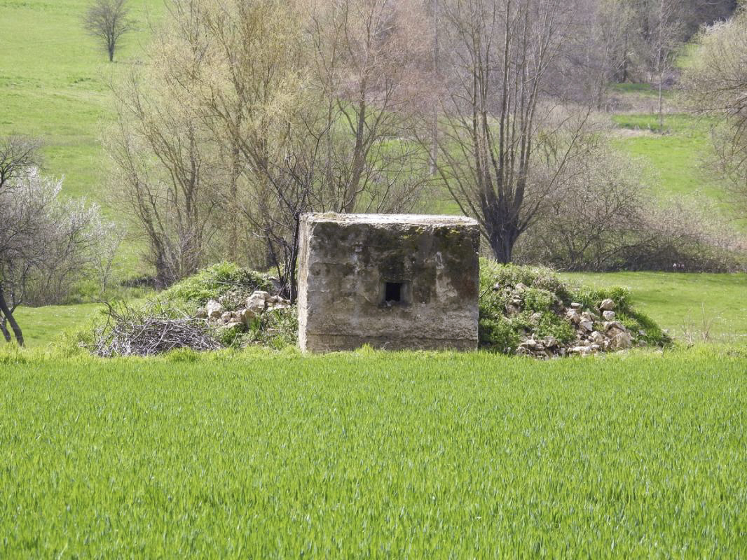 Ligne Maginot - LE 75 3 - (Blockhaus pour arme infanterie) -  - Alain Perouffe