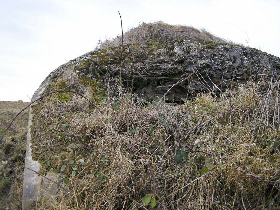Ligne Maginot - EICHELBERG NORD - (Blockhaus pour canon) - Façade avant - ALMO