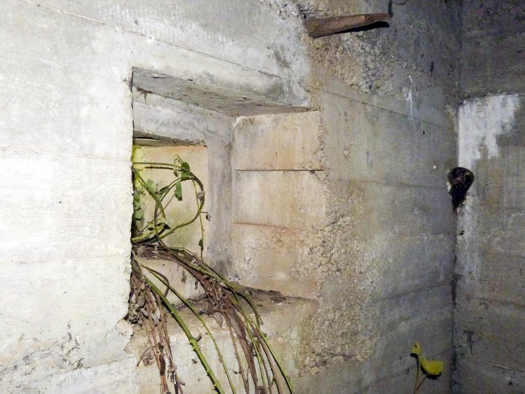 Ligne Maginot - FUSSPFADT ( Casemate d'infanterie ) -  - JMBrams