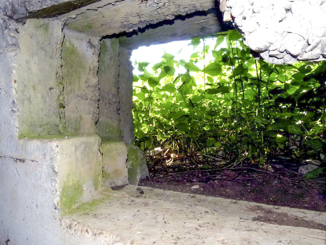 Ligne Maginot - FUSSPFADT ( Casemate d'infanterie ) -  - JMBrams