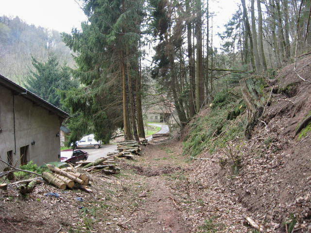 Ligne Maginot - MOULIN DE MONTBRONN (SF ROHRBACH) - (PC de Secteur) - Chemin d'accès aux batiments annexes - Christian LENHARD