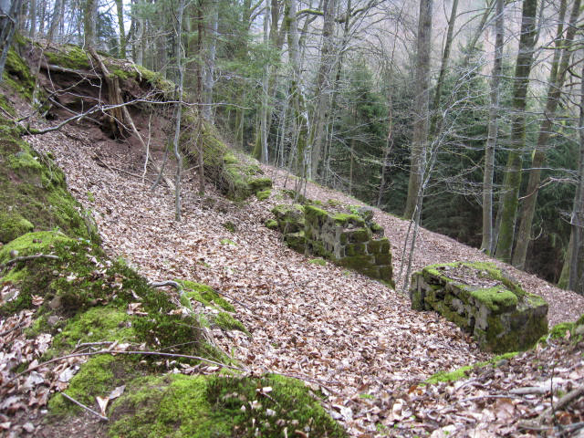Ligne Maginot - MOULIN DE MONTBRONN (SF ROHRBACH) - (PC de Secteur) - Les restes des bâtiments - Christian LENHARD
