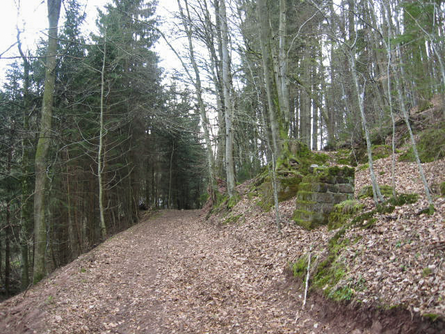 Ligne Maginot - MOULIN DE MONTBRONN (SF ROHRBACH) - (PC de Secteur) - Les restes des batiments - Christian LENHARD