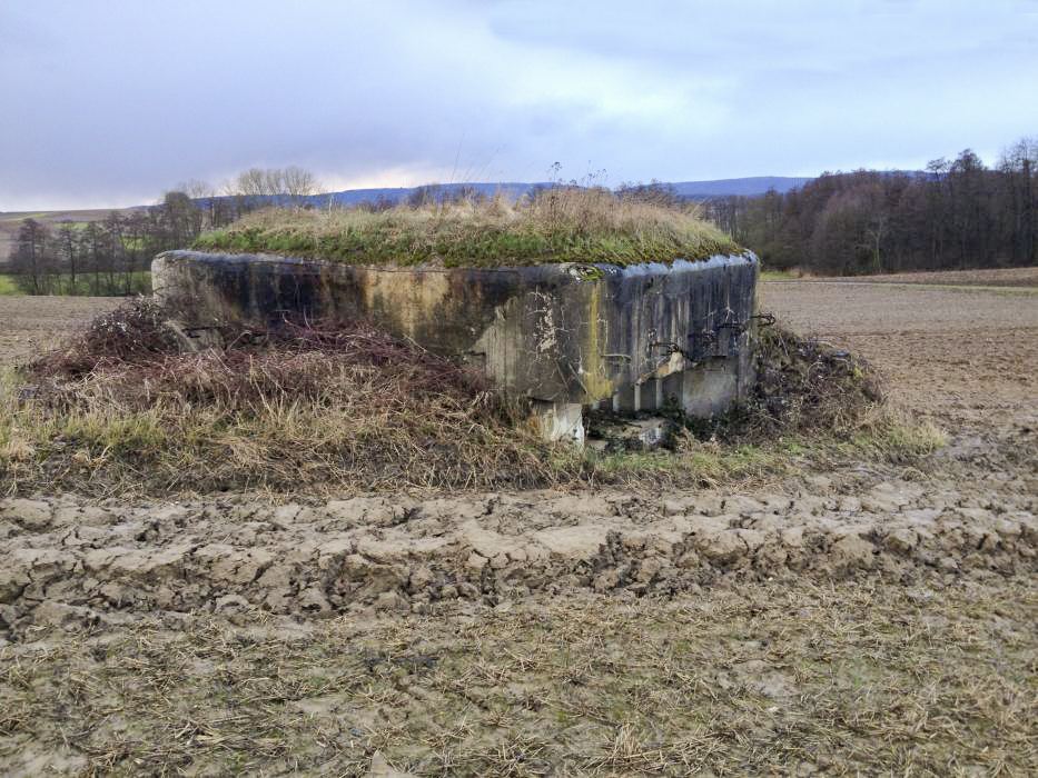 Ligne Maginot - HECKENMUEHLE Centre (Blockhaus pour arme infanterie) - Vue générale - GLÜCKSJÄGER GJ13