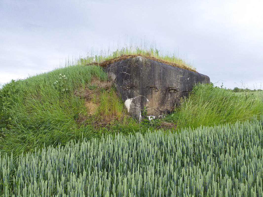Ligne Maginot - HECKENMUEHLE Centre (Blockhaus pour arme infanterie) - Vue arrière - Gregory Fuchs