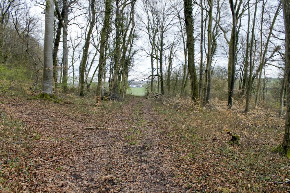 Ligne Maginot - WEIDESHEIMER BERG (QUARTIER SCHLOSSWALD - I/133 RIF) - (PC de Quartier) - Vue generale - Christian LENHARD