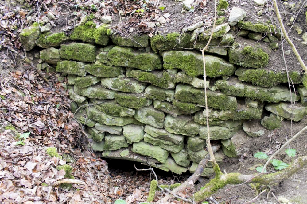 Ligne Maginot - WEIDESHEIMER BERG (QUARTIER SCHLOSSWALD - I/133 RIF) - (PC de Quartier) - L'entrée de l'abri - Christian LENHARD