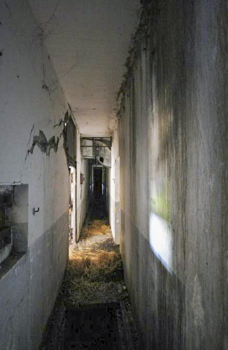 Ligne Maginot - HOFFEN - (Abri) - Couloir au niveau de l'entrée Sud
Les dégâts causés par l'explosion de la bombe de stuka sont déjà visibles à ce niveau - GRAMI Michel