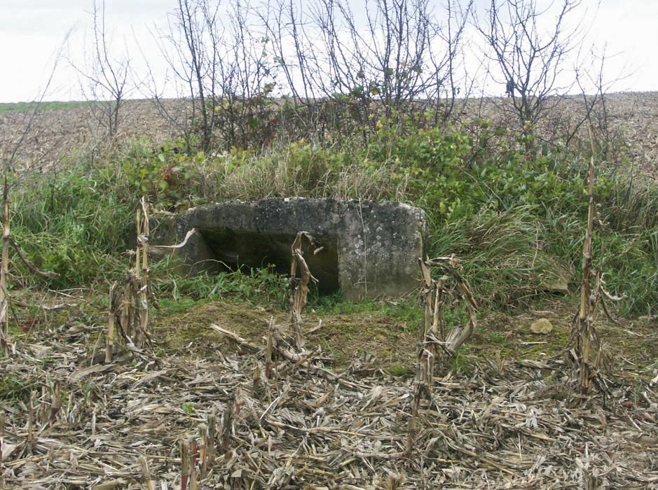 Ligne Maginot - HOHWILLER (I/79° RIF ?) - (PC de Quartier) - Première entrée
Quasiment totalement remblayée
2007 - Pascal LAMBERT