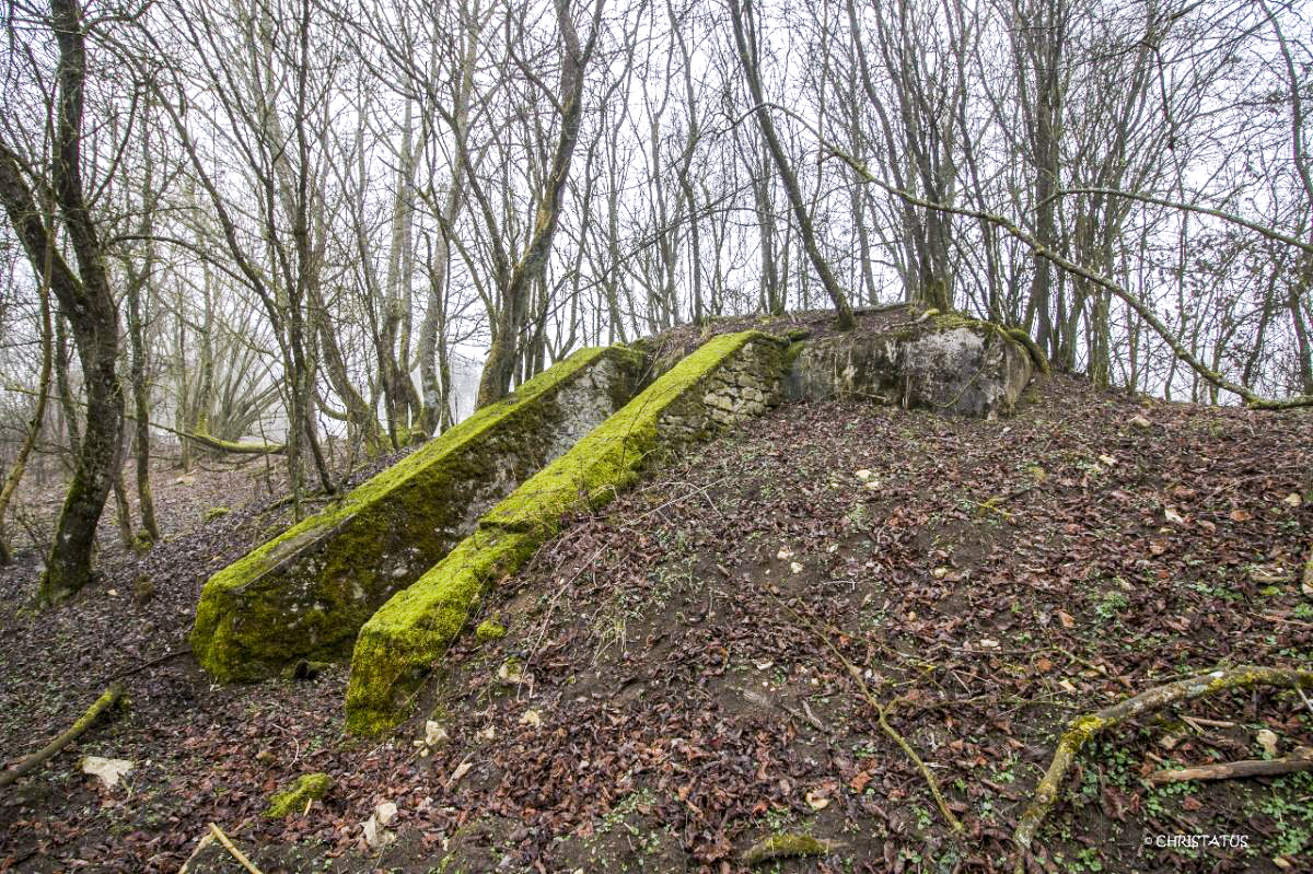 Ligne Maginot - X561 - (Chambre de coupure) -  - Christian LENHARD