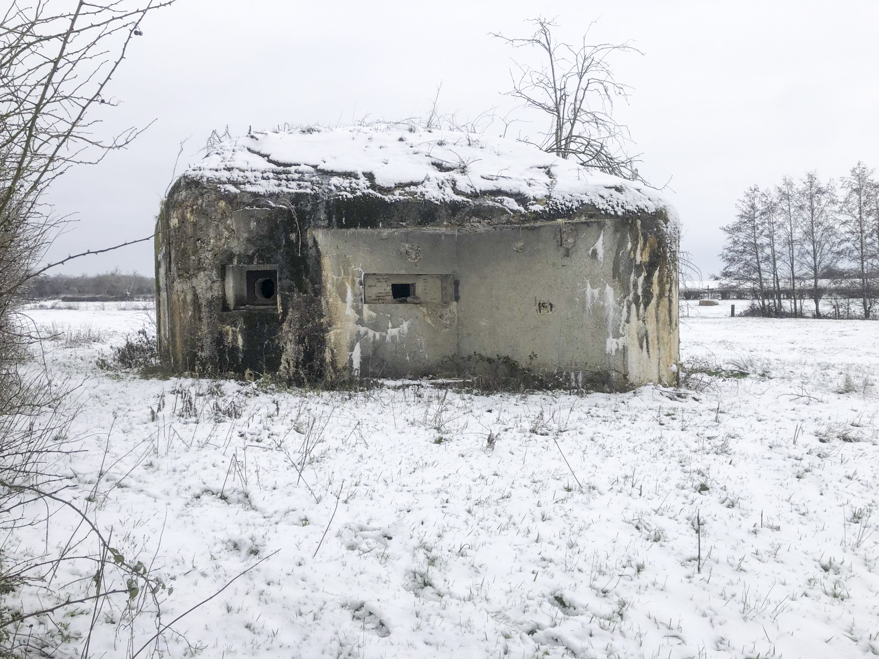Ligne Maginot - B574 - BOIS DU FRENE - (Blockhaus pour canon) -  - E. LEMAITTE